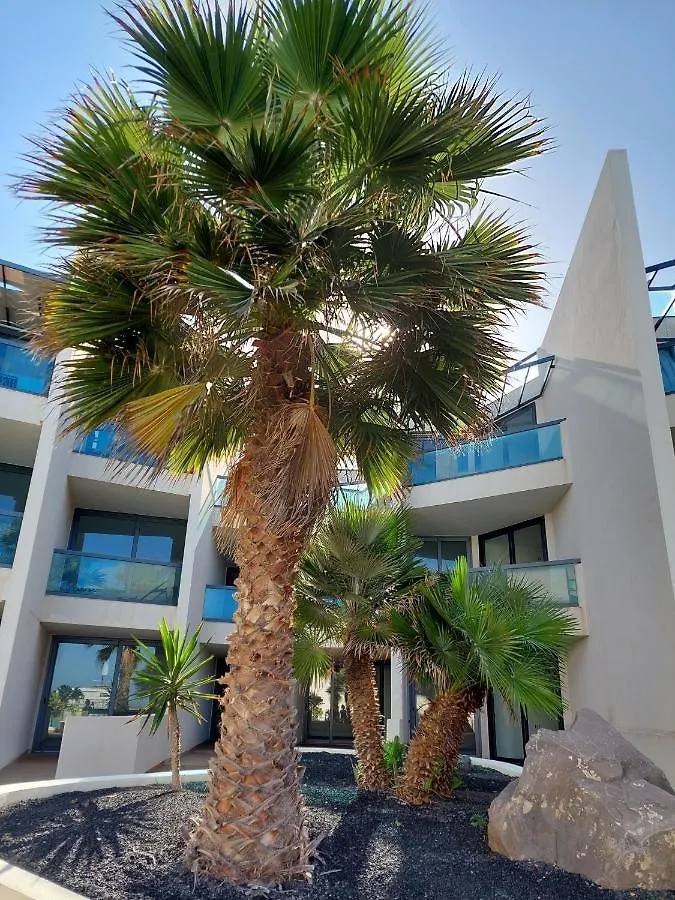 Calypso II By Sea You There Fuerteventura El Cotillo  Spain
